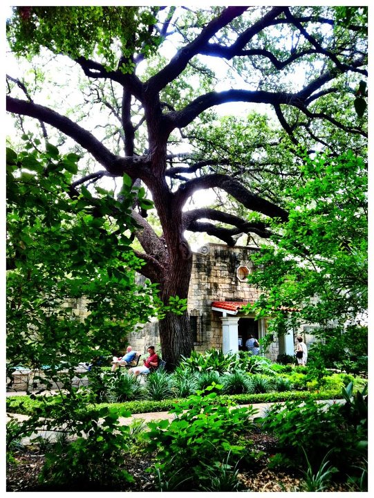 San Antonio Alamo Grounds