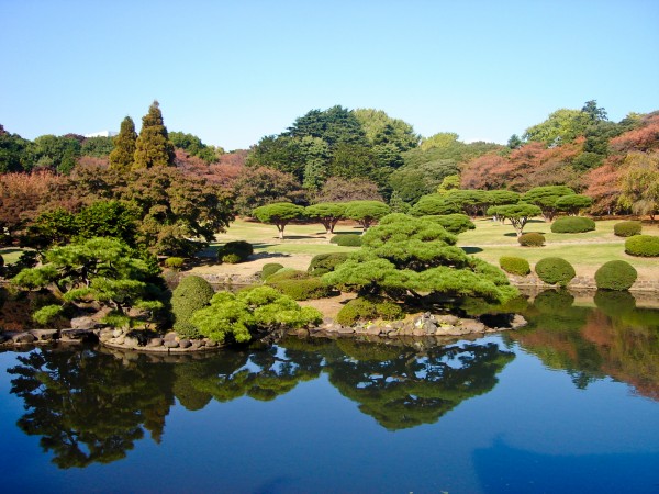 Shinjuku Park Reflected