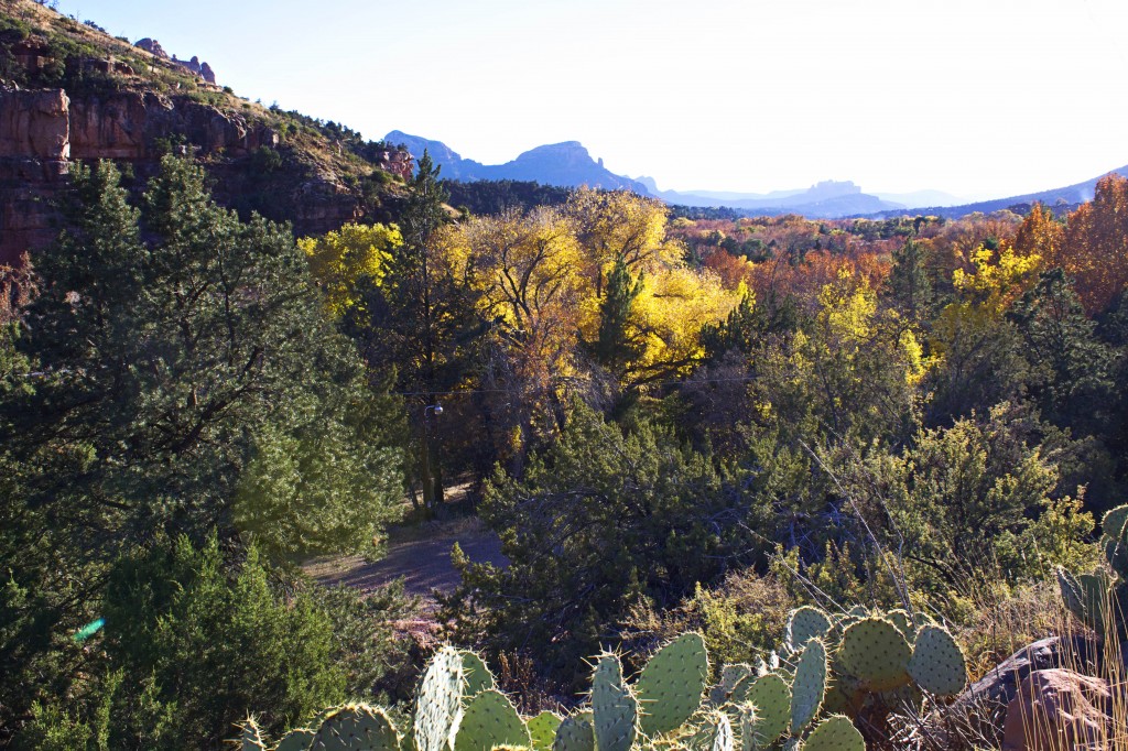 Sedona