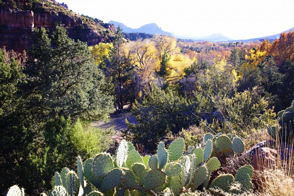 Sedona