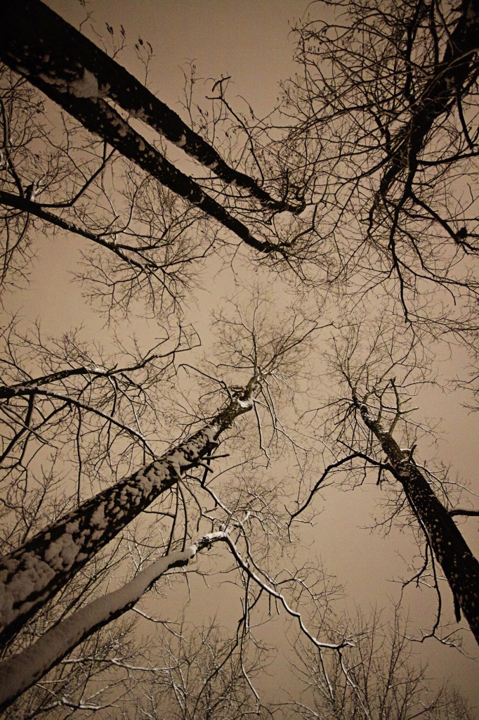 Snow at Night