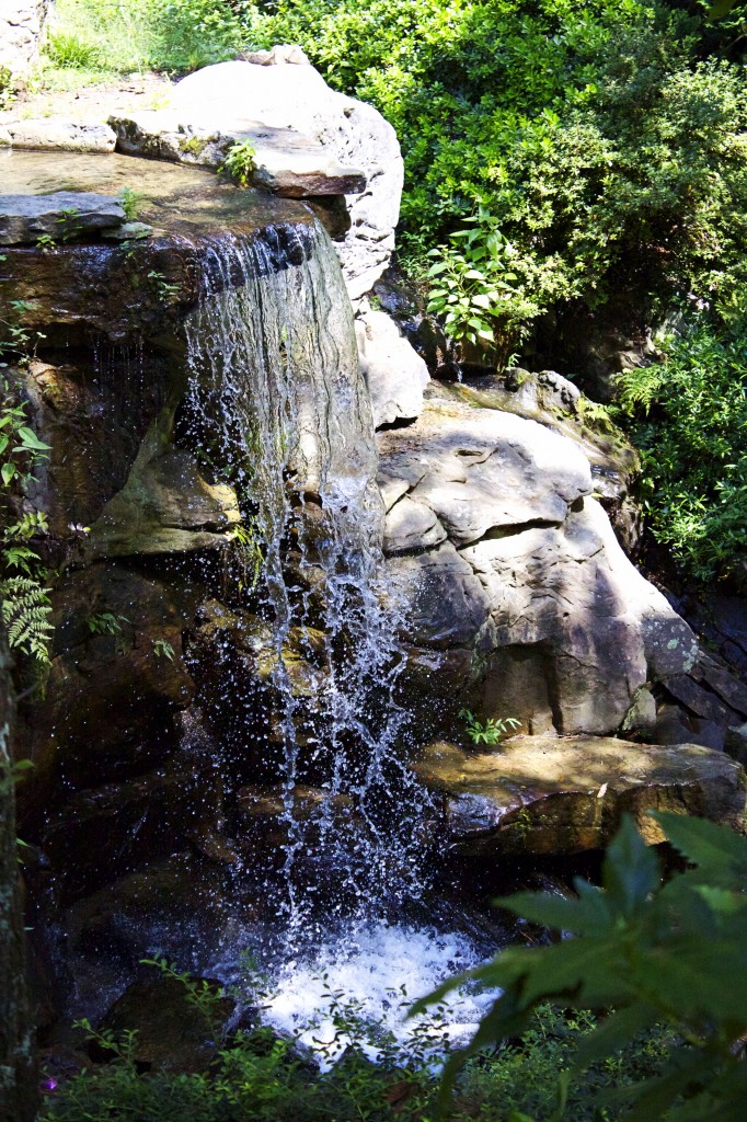 Garvan Woodland Gardens