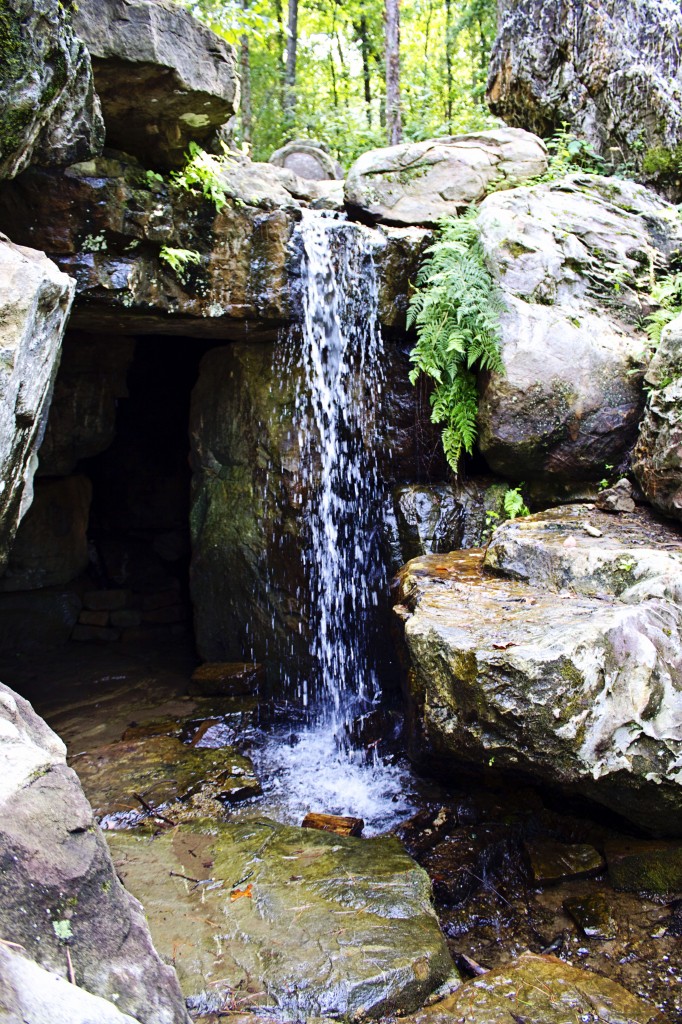 Garvan Woodland Gardens