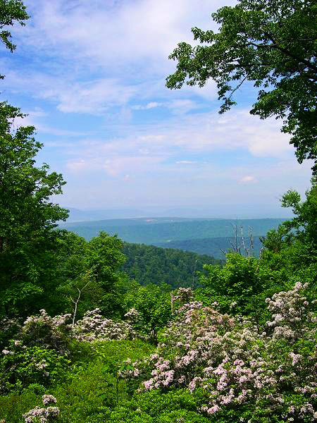 Pennsylvania Mountains