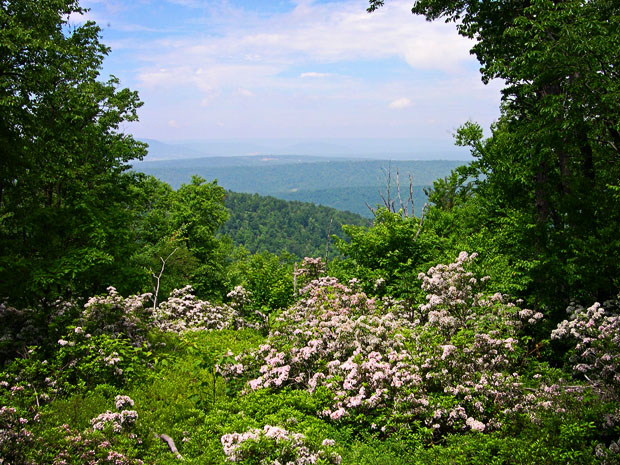 Pennsylvania Mountains