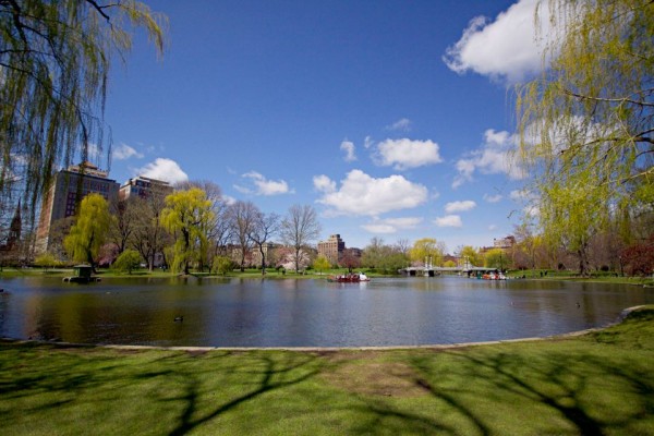 boston commons swan pond spring