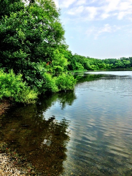 Gifford Pinchot State Park