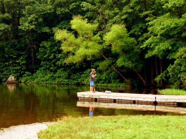 Gifford Pinchot State Park