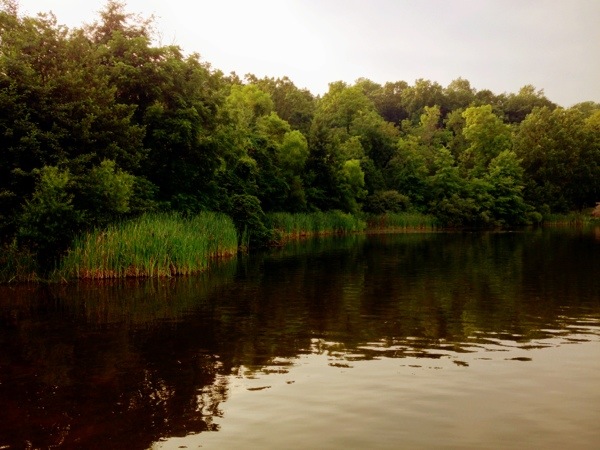 Gifford Pinchot State Park