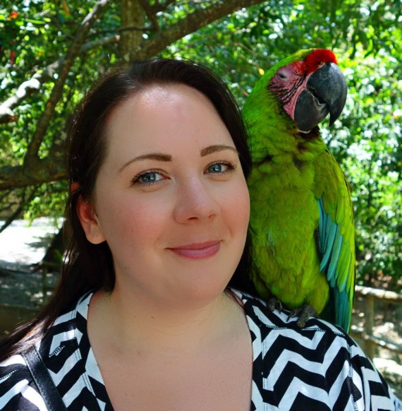 meganotravels megan allene smith macaw gumbalimba park roatan honduras