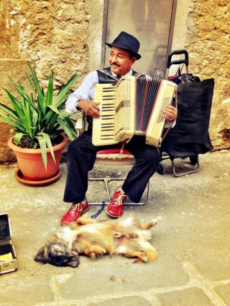 italian accordion dog cinque terre music