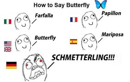 german meme butterfly