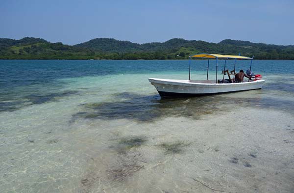 beach roatan honduras