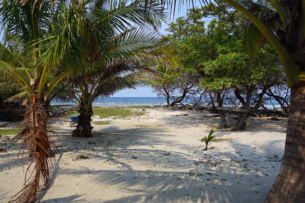 beach roatan honduras