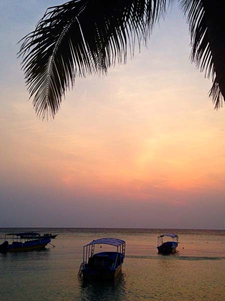 beach sunset roatan honduras