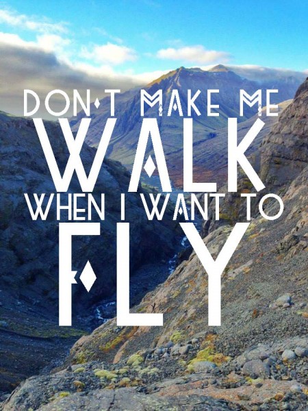 don't make me walk when i want to fly