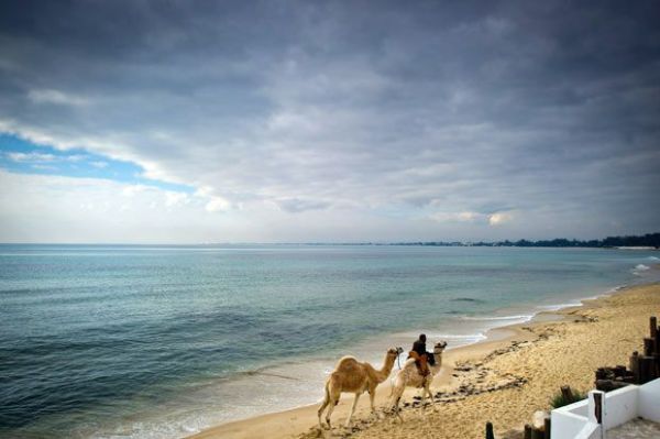 tunisia