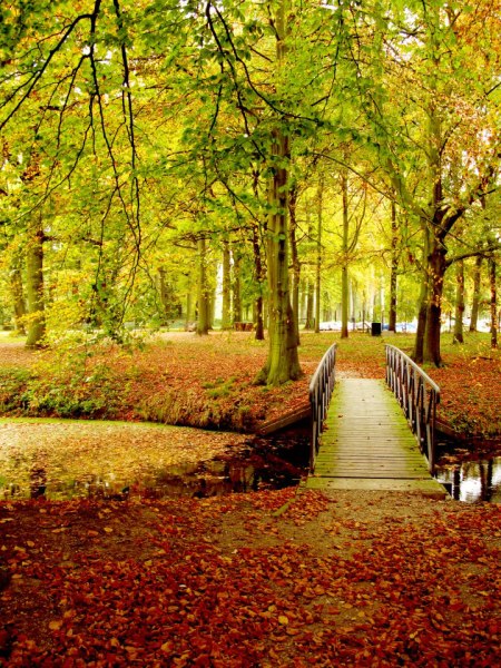 fall autumn haar castle kasteel de haar