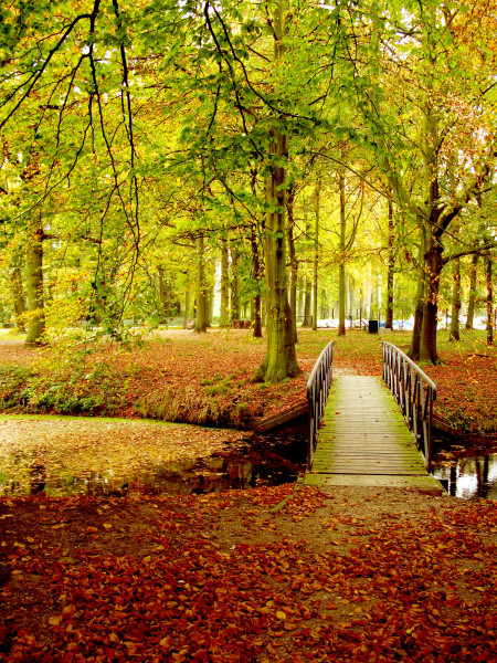 kasteel haar netherlands fall
