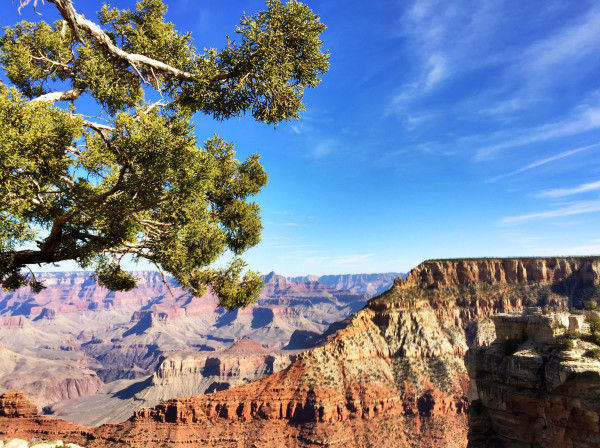 grand canyon