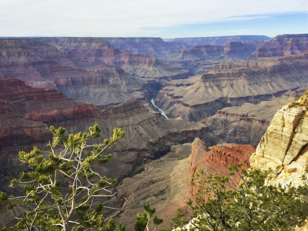 grand canyon arizona south rim