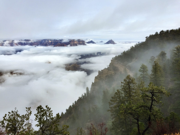 fog grand canyon arizona