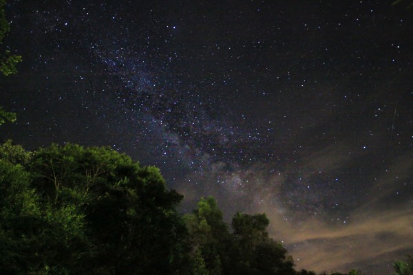 stars shunk pennsylvania