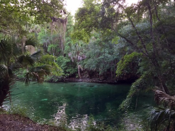 blue springs state park orange city florida