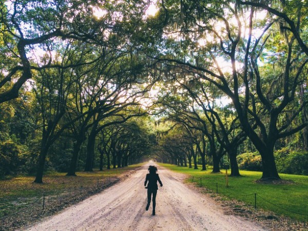 Wormsloe State Historic Site by Hannah On Earth