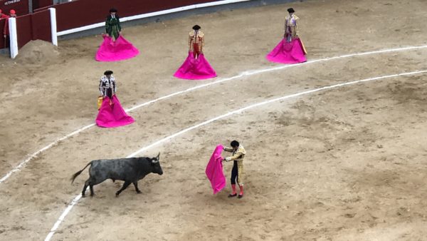 bullfight at plaza de toros de las ventas