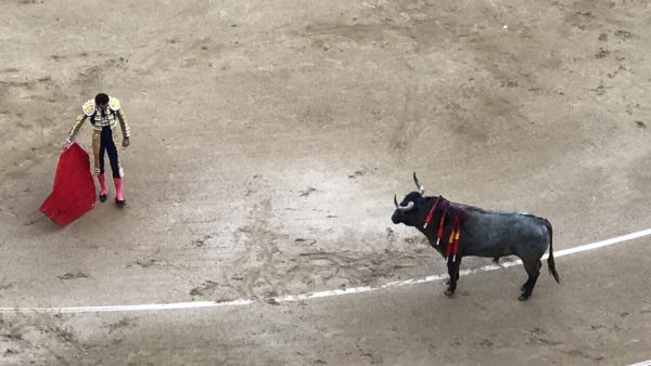 bullfight at plaza de toros de las ventas