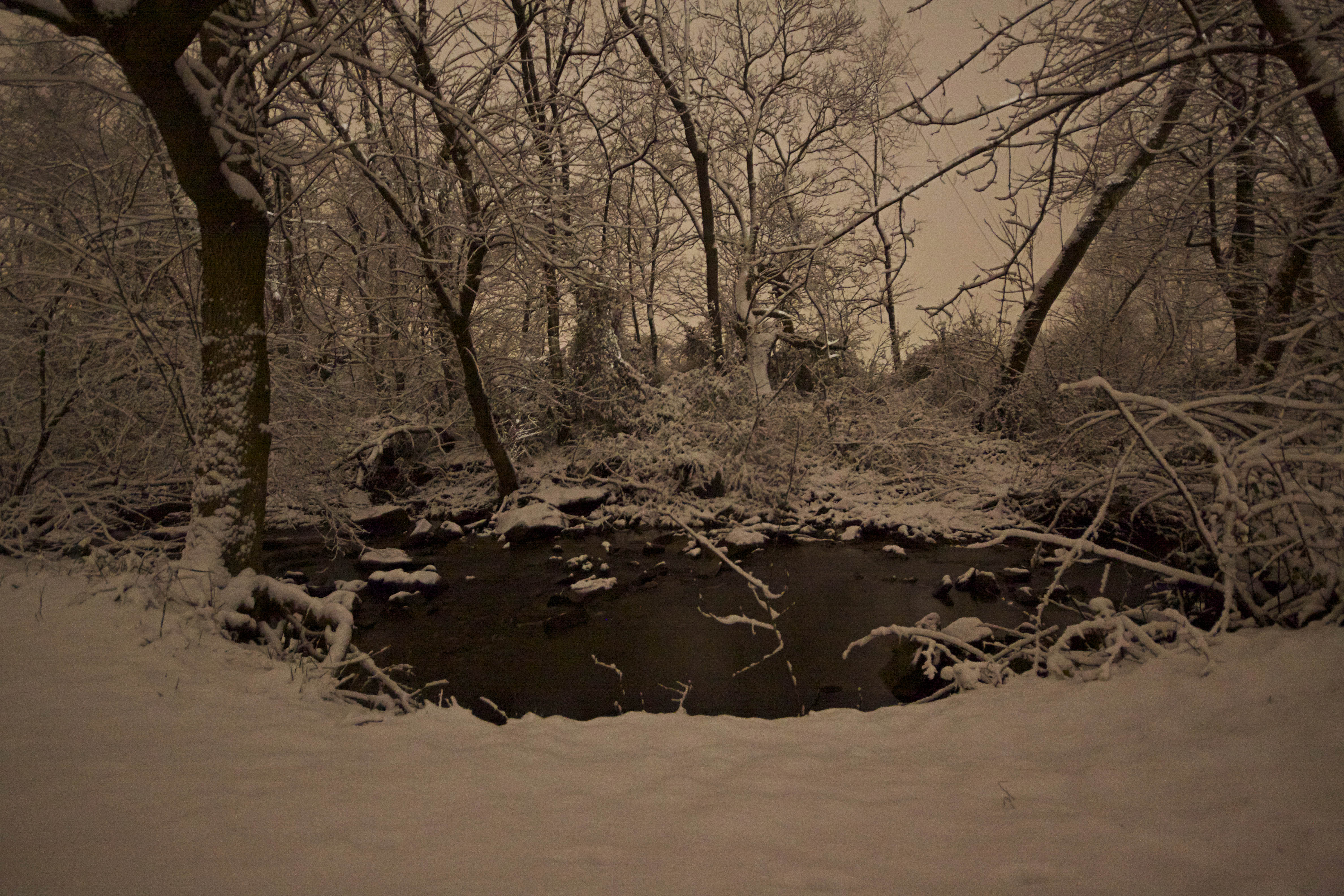 Snow at Night