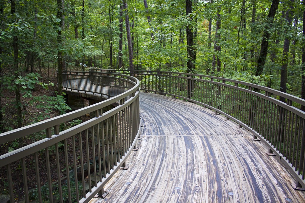 Photos Garvan Woodland Gardens Meganotravels