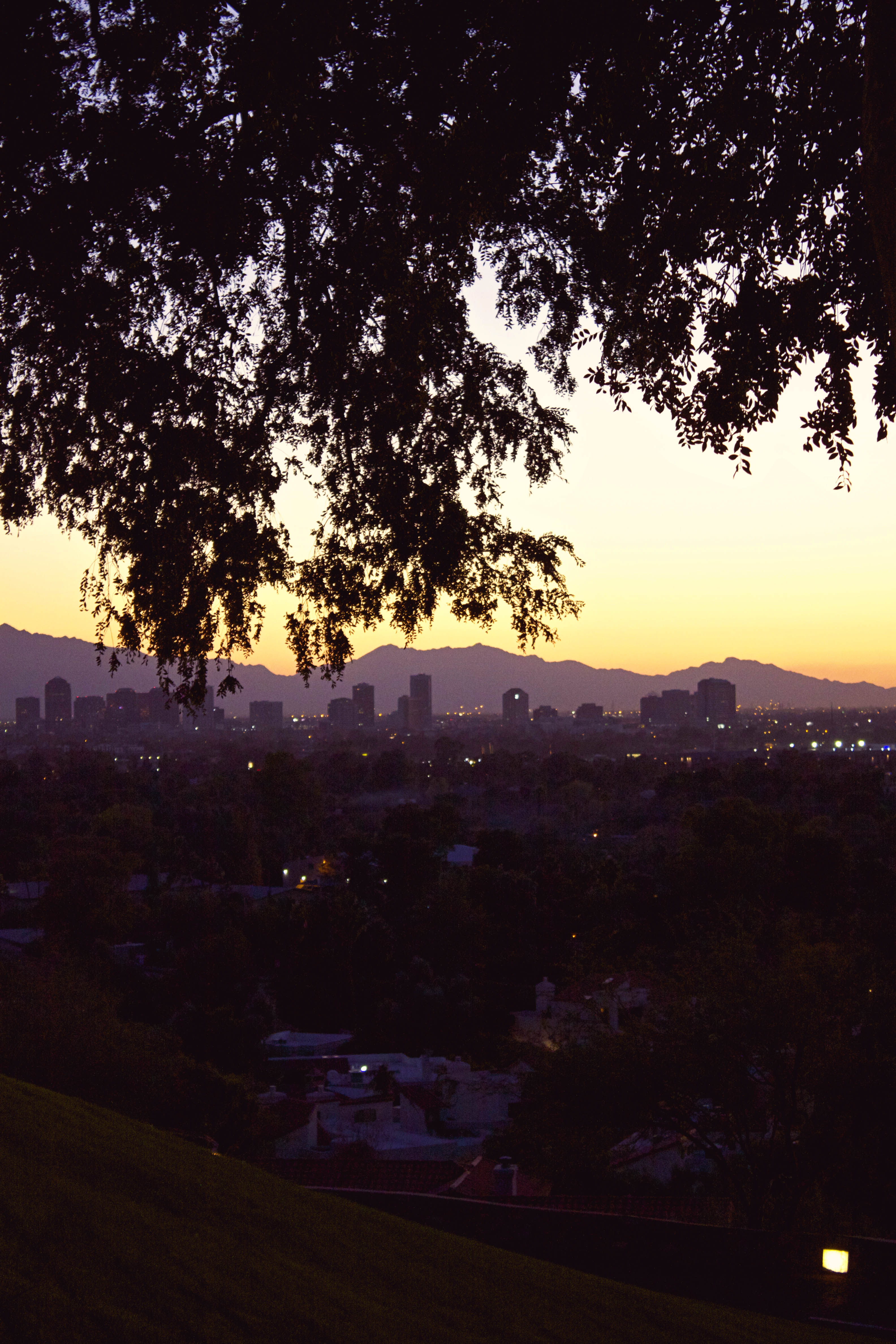 Phoenix Skyline