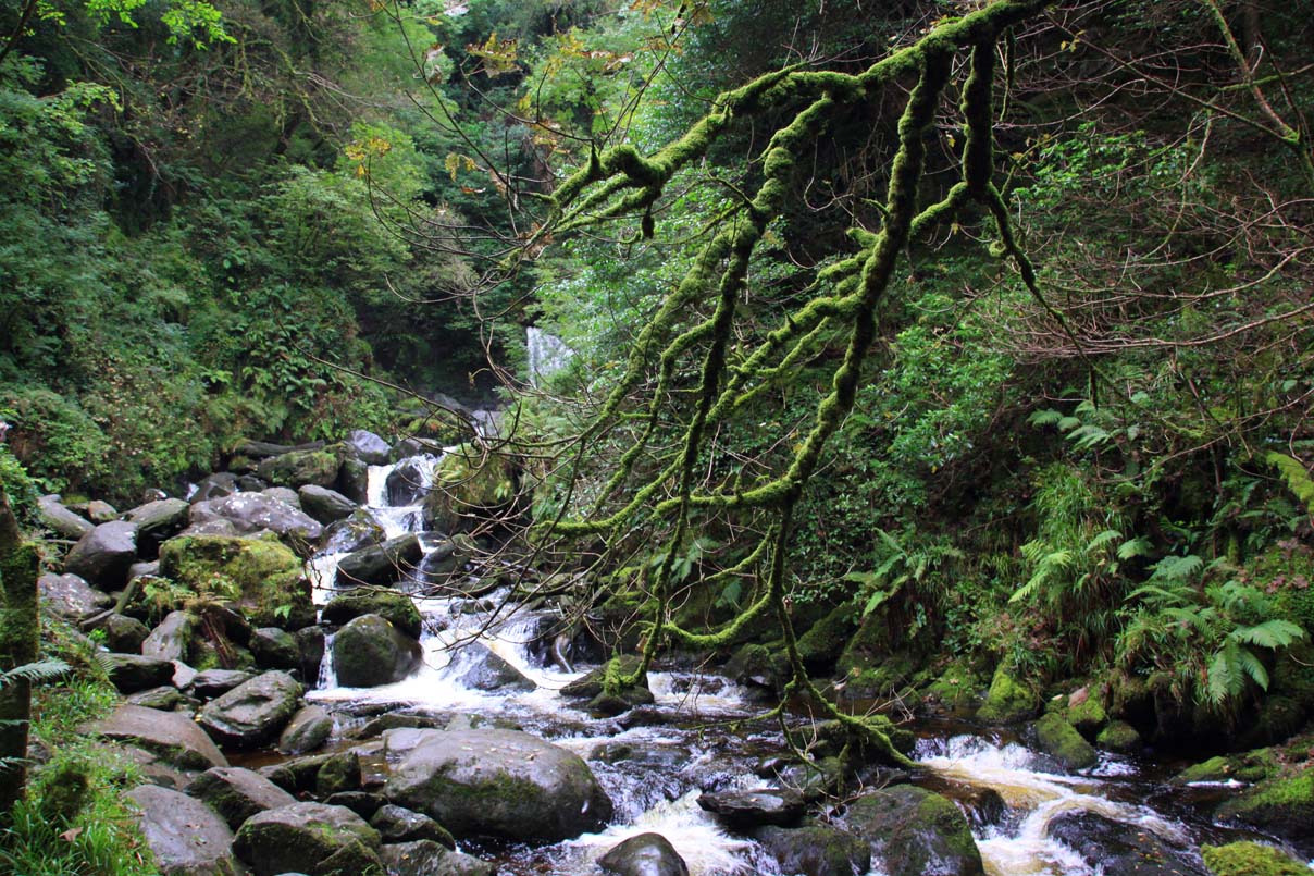 ireland