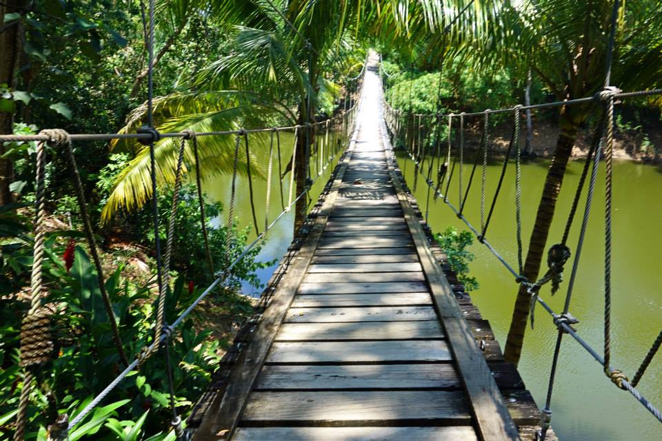 gumbalimba park suspension bridge roatan honduras