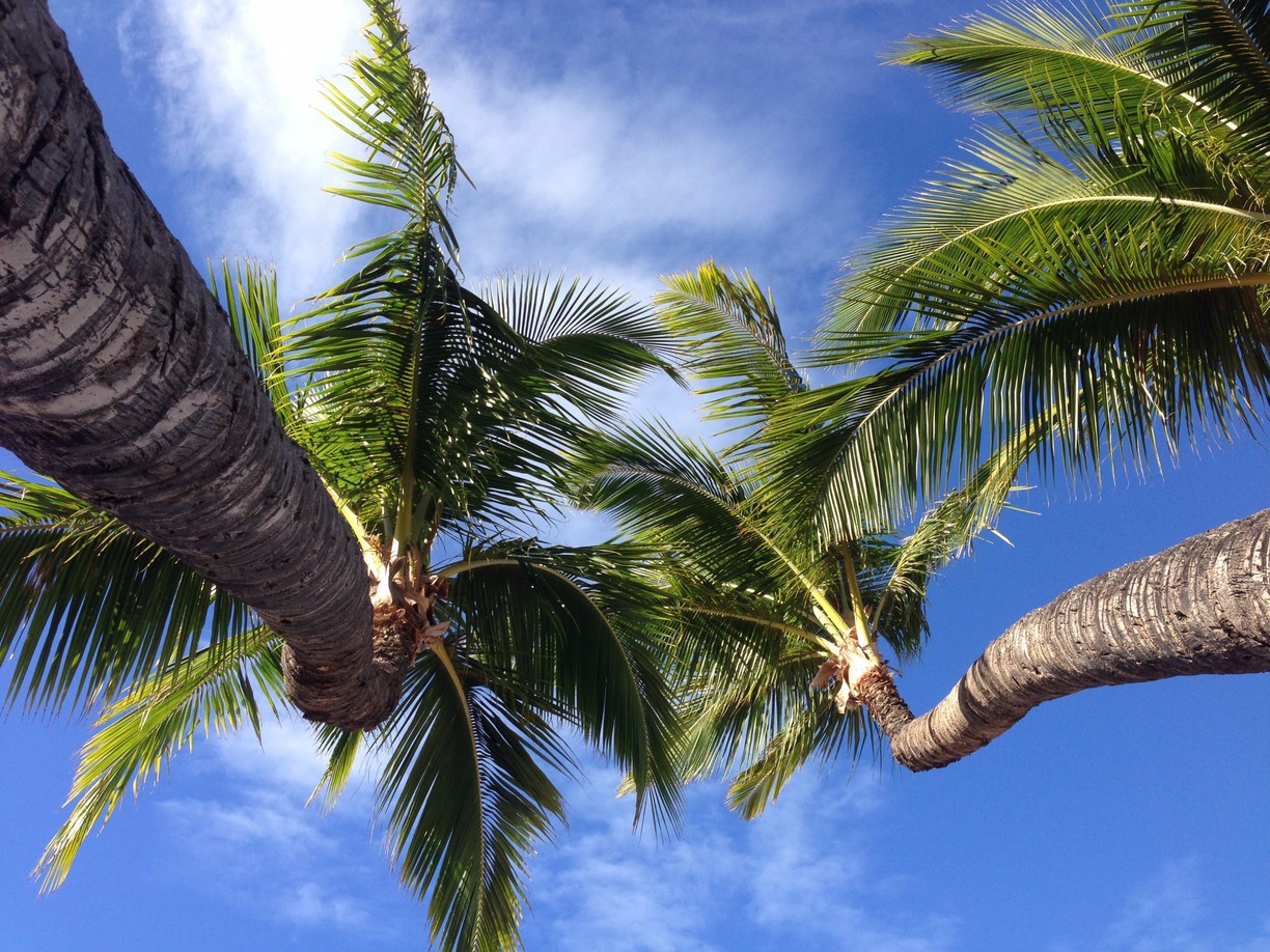 lahaina hawaii